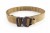 Low Profile Modular Belt