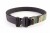 Low Profile Modular Belt