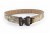 Low Profile Modular Belt