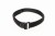Low Profile Modular Belt Gen. 2 D-Ring Cobra